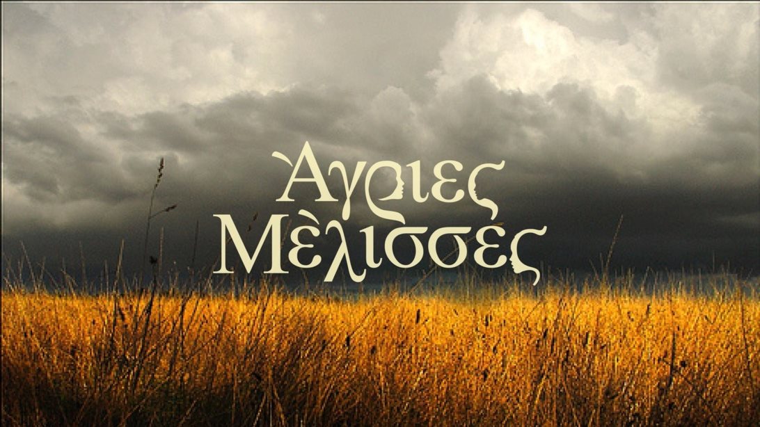 Νέα σειρά από τους δημιουργούς των "Άγριων Μελισσών"