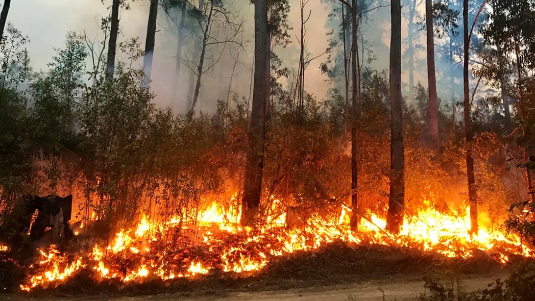 Νύχτα αγωνίας στη Φωκίδα: Μάχη να μείνουν οι φλόγες μακριά από την Ιτέα - Ενισχύθηκαν με το πρώτο φως οι δυνάμεις [Εικόνες-Βίντεο]