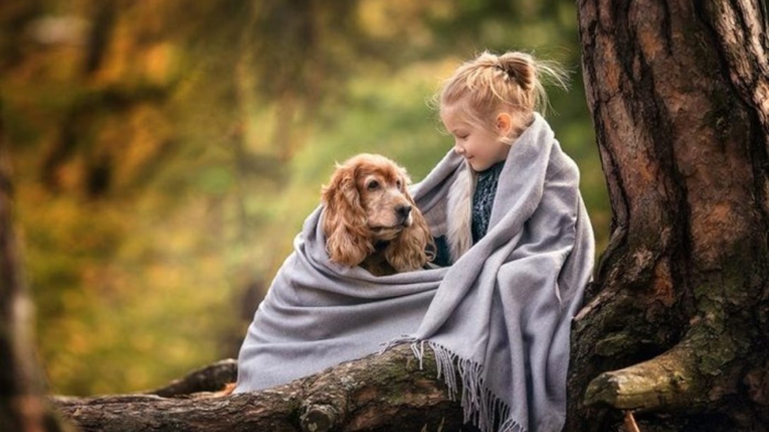 MamaPost by The Mamagers
: «Τα κατοικίδια ενισχύουν τη συναισθηματική νοημοσύνη των παιδιών»
