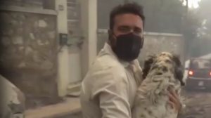 Συγκινησε τους παντες ο ρεπορτερ του Star που εσωσε τραυματισμενο σκυλακι απο τις φλογες