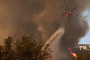 Σταματίνα Τσιμτσιλή: "Το μόνο που αλλάζει είναι ο αριθμός των νεκρών - Ο απολογισμός είναι πάντα τραγικός"