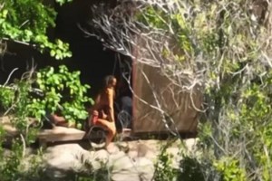 Tα φιλιά του Μάριου Πρίαμου Ιωαννίδη με την Καρολίνα Καλύβα έφεραν το "All Star" στην κορυφή