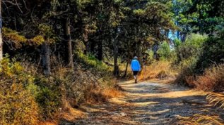 Καιρος: Μεγαλα διαστηματα με ηλιο και βροχερα περασματα την Κυριακη - Με διακυμανσεις η θερμοκρασια