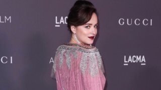 Dakota Johnson: H εντυπωσιακή εμφάνιση της στο gala του LACMA
