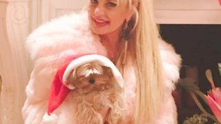 Μαρίνα Πατούλη: Δείτε το στολισμένο «χρυσό παλάτι» της: Φωτογραφίες