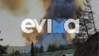 Εκτός ελέγχου η φωτιά στη Λίμνη Ευβοίας: Πλησιάζουν σπίτια οι πύρινες γλώσσες - Εκκενώνονται χωριά [βίντεο]