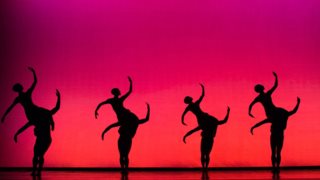 MOMIX: Η μεγαλύτερη, ιστορικότερη και διασημότερη ομάδα ακροβατικού χορού στον κόσμο, 
που τόσο λατρεύτηκε και στη χώρα μας, 
επιστρέφει με την θρυλική παράσταση Opus Cactus!
