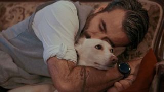 Παγκόσμια Ημέρα Αδέσποτων Ζώων: 5 αδέσποτες ιστορίες