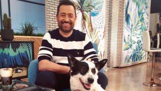 Έφυγε από τη ζωή ο σκύλος του Θέμη Γεωργαντά- Τα συγκινητικά λόγια του παρουσιαστή