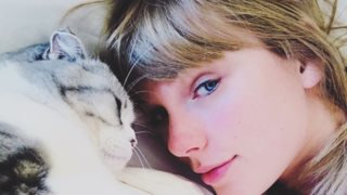 Taylor Swift | Η γάτα της "κοστίζει" 97 εκατομμύρια δολάρια