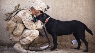 Channing Tatum: Γυρίζει ταινία για το δέσιμο μεταξύ στρατιωτών και σκυλιών