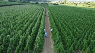 Από το χωράφι στην κουζίνα: Η βιωσιμότητα στο πιάτο μας - Η τάση που αλλάζει τον τρόπο που τρώμε