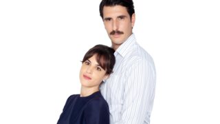 Άγριες Μέλισσες: Η επιστροφή της Πηνελόπης χαλάει τη νέα σχέση του Μελέτη