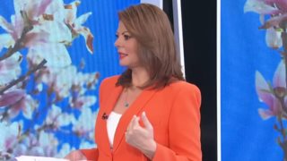 Χριστίνα Βίδου: "Δεν σας νοιάζει, ήθελα κι εγώ να πω τον πόνο μου"