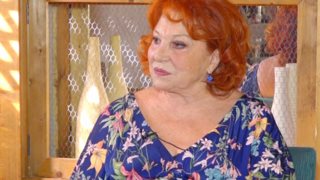 Χρυσούλα Διαβάτη: H επίθεση στη Γερονικολού: «Γιατί οι ταινίες γίνονται θεατρικά έργα; Αν θες κάτι εμπορικό, βγάλε μια ξεβράκωτη»