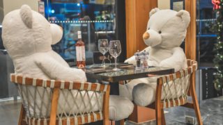 Καφέ στην Καρδίτσα με πελάτες υπέροχους... λευκούς αρκούδους