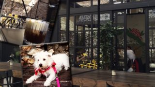 Underdog: Ο Καλύτερος Καφές Της Αθήνας: Η Μάρω Παρασκευούδη βρήκε την αυλή που θα περάσεις όλο το καλοκαίρι σου!