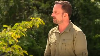 Survivor | Η τελευταία αποχώρηση πριν την ένωση! Η αντίδραση των παικτών