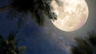 Ζώδια: Έκλειψη Σελήνης και Πανσέληνος στον Υδροχόο στις 7 Αυγούστου
