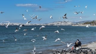 Καιρός: Ηλιοφάνεια με λίγες νεφώσεις, τοπικά ισχυροί βόρειοι άνεμοι στο Αιγαίο