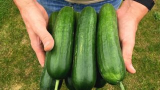 Στύση στη στιγμή: Κι όμως επιστήμονες δημιούργησαν ένα gel δυναμίτη!
