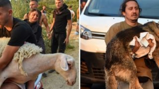 Εικόνες που συγκλονίζουν στην Αχαΐα - Παίρνουν αγκαλιά τα ζώα τους για να τα σώσουν