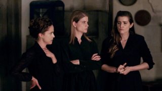 Από τις &quot;Άγριες Μέλισσες&quot; στη νέα σειρά του ΣΚΑΪ