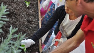 WWF Ελλάς &amp; Praktiker: Ενώνουν τις δυνάμεις τους για υγιή παιδιά σε έναν υγιή πλανήτη