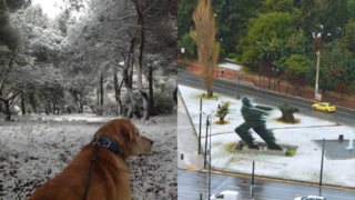 H Αθήνα Στα Λευκά: Δείτε φωτογραφίες από το χιονισμένο κέντρο της πόλης!