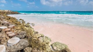 Οι 9 πιο εντυπωσιακές ροζ παραλίες στον κόσμο
: Μοιάζουν σαν να βγήκαν από παραμύθι!
