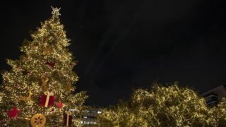 Σύνταγμα: Φωταγωγήθηκε για φέτος το μεγάλο δέντρο στο κέντρο της Αθήνας