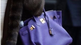 The Birkin Bag: 10 πράγματα που σίγουρα δεν ήξερες για την iconic τσαντα του οίκου Hermes