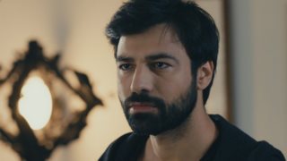 Αντρέας Γεωργίου: Τραγουδά μαζί με την Άννα Βίσση &amp; τους Κύπριους stars «Χρυσοπράσινο φύλλο» κατά του κορονοϊού