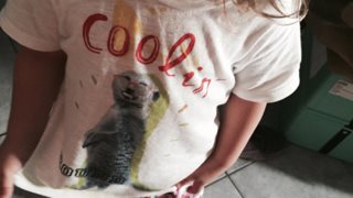 Eliana In Babyland: 10 ψέματα που λέω για να μην με κρίνουν οι άλλες μαμάδες