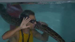 "I'm a Celebrity, get me out of here": Ποιος παίκτης αποχώρησε μετά τη σημερινή δοκιμασία