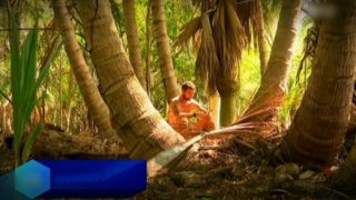 Survivor: Τι θα γίνει στο επόμενο επεισόδιο: Η «σχολή Ντάνου» &amp; ο απόμακρος Τόνυ