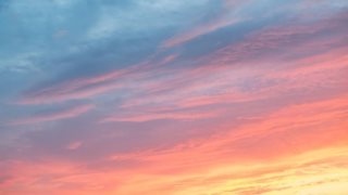 Αυτό είναι το χρώμα της χρονιάς
: Η Pantone ανακοίνωσε ποιο θα είναι για το 2019