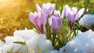 Με σκαμπανεβάσματα ο καιρός όλη τη Μεγάλη Εβδομάδα: Από καταιγίδες σε... άνοιξη - Πώς θα σουβλίσουμε