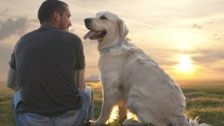 Γιατί ένας σκύλος είναι το καλύτερο δώρο που μπορείς να κάνεις στον εαυτό σου
: Παγκόσμια ημέρα ζώων και εμείς είμαστε ξεκάθαρα dog persons.
