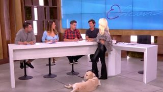 Δημήτρης Ουγγαρέζος | Η αναφορά στην Ιλένια Ουίλιαμς με αφορμή τον Κούπερ &amp; η αντίδραση της Ελένης Μενεγάκη