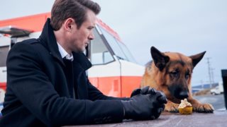 «Αστυνόμος Ρεξ» : Έρχεται στον ΑΝΤ1! Πότε κάνει πρεμιέρα;