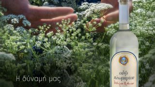 Ούζο Πλωμαρίου | Το Λισβόρι της Λέσβου ήδη μοσχοβολά γλυκάνισο