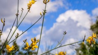 Βελτιωμένος ο καιρός σήμερα με μικρή άνοδο της θερμοκρασίας - Πού επιμένουν οι βροχές