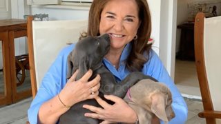 Η Ντόρα Μπακογιάννη ανοίγει το σπίτι της!