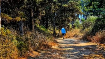 Καιρος: Μεγαλα διαστηματα με ηλιο και βροχερα περασματα την Κυριακη - Με διακυμανσεις η θερμοκρασια