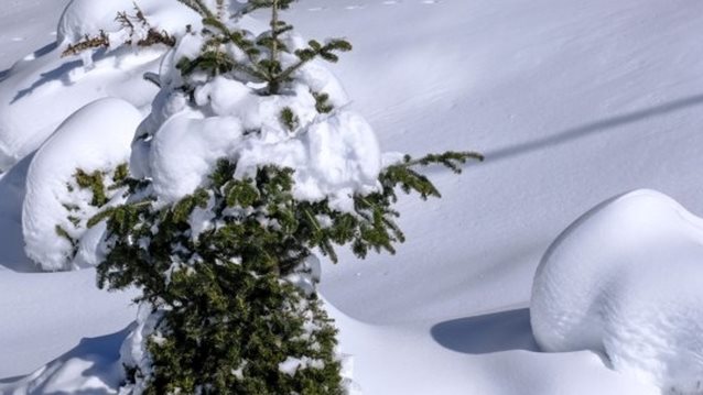 Ο καιρός της Πρωτοχρονιάς: Πώς θα κάνουμε ρεβεγιόν - Πρόγνωση μέχρι την Παρασκευή