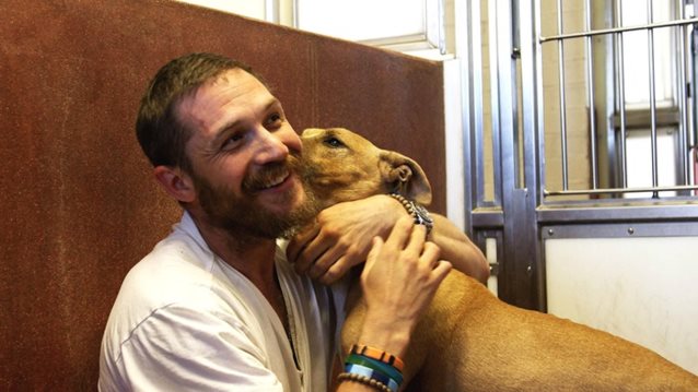 Τα σκυλιά σε κάνουν πιο χαρούμενο, πιο υγιή και πιο fit