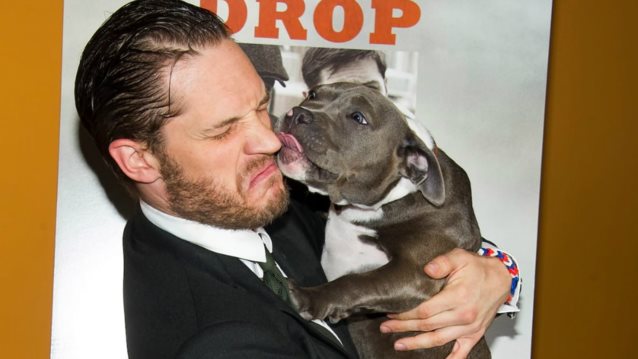 Tom Hardy: Εξηγεί γιατί οφείλετε να λατρεύετε το σκύλο σας: Φωτογραφίες