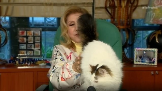 &quot;Video of the day&quot; | Ο γάτος της Λίτσας Πατέρα πήγε στο τζάκι ενώ βρισκόταν on air &amp; εκείνη δεν φαντάζεσαι πως αντέδρασε