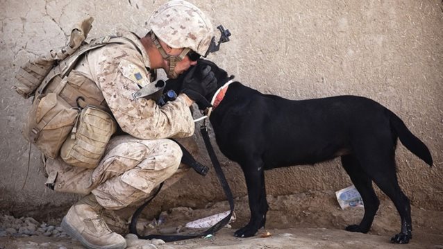 Channing Tatum: Γυρίζει ταινία για το δέσιμο μεταξύ στρατιωτών και σκυλιών